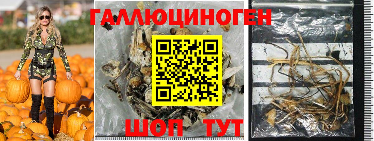 Псилоцибиновые грибы MAGIC MUSHROOMS  Псилоцибиновые грибы GOLDEN TEACHER  Вятские Поляны  Вход с VPN 